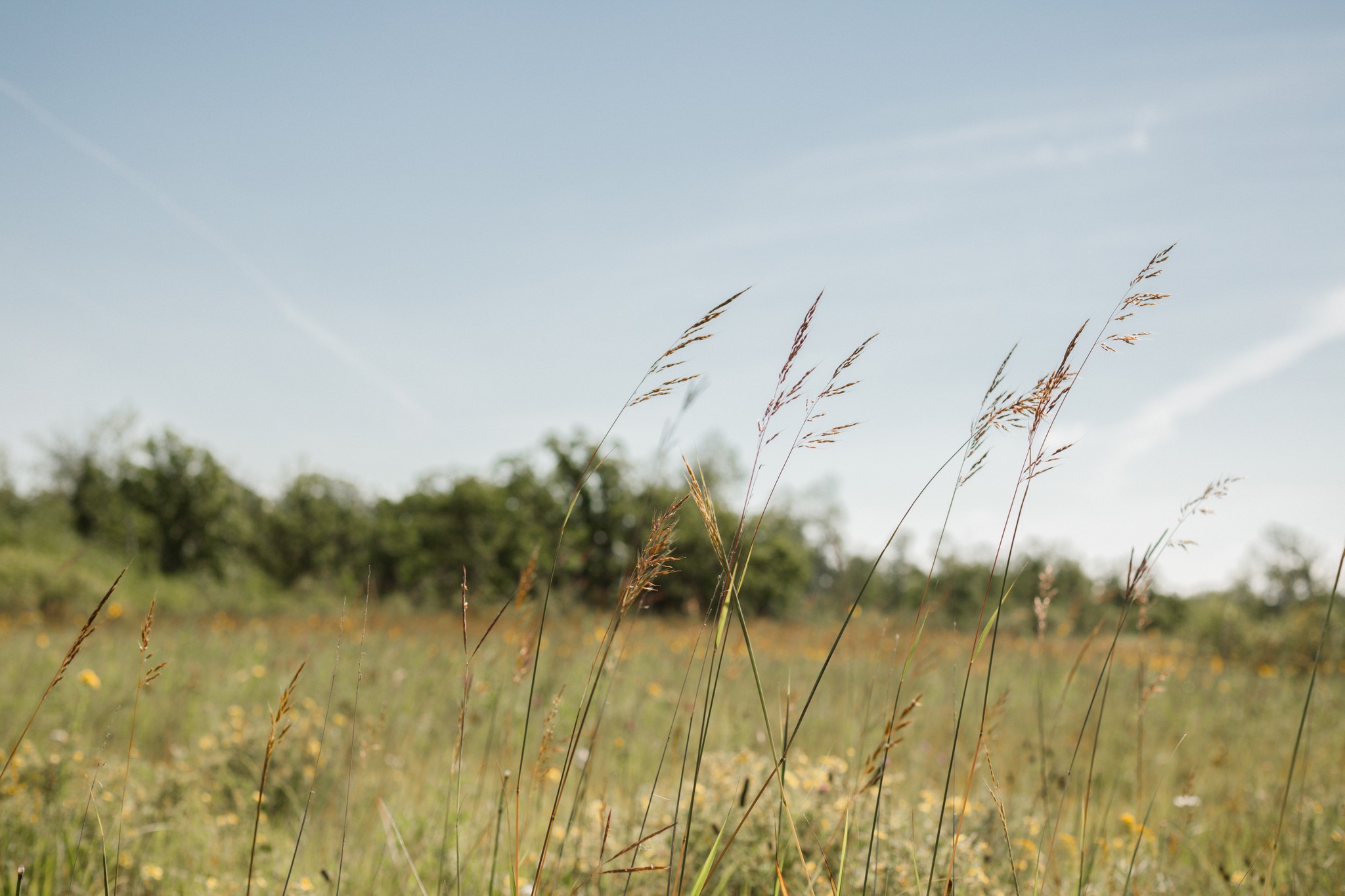 Courier Service to Beausejour, Selkirk, Pinawa and More